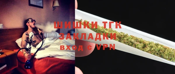 spice Каменка
