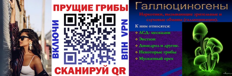 Псилоцибиновые грибы ЛСД  где купить   Новоаннинский 